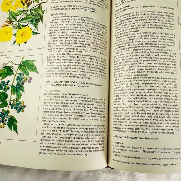 How to Grow Vines Vintage Time Life Gardening Books Encyclopedia u 1981 Hardcove - Picture 8 of 8